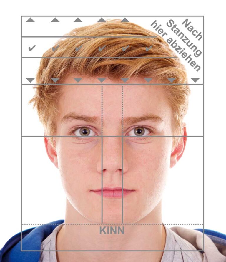 Biometrisches Passbild Selber Machen Einfach Erkl Rt