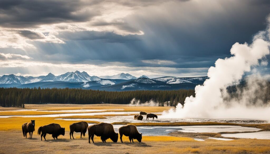 Yellowstone serie