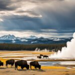 Yellowstone serie